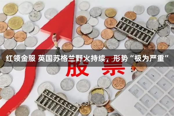 红领金服 英国苏格兰野火持续，形势“极为严重”