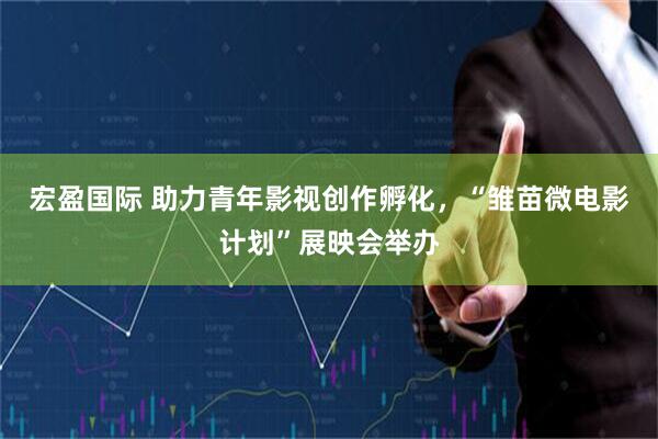 宏盈国际 助力青年影视创作孵化，“雏苗微电影计划”展映会举办