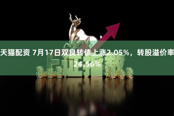 天猫配资 7月17日双良转债上涨2.05%，转股溢价率24.56%