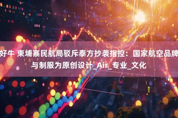 好牛 柬埔寨民航局驳斥泰方抄袭指控：国家航空品牌与制服为原创设计_Air_专业_文化