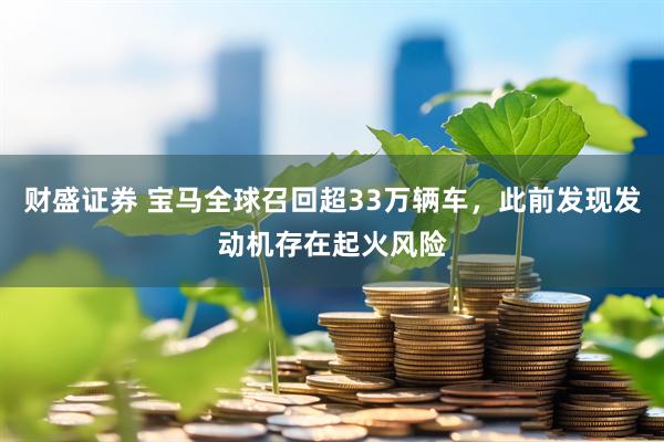 财盛证券 宝马全球召回超33万辆车，此前发现发动机存在起火风险