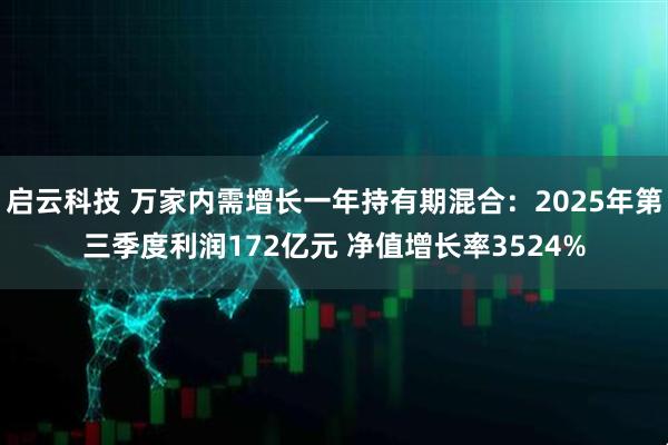 启云科技 万家内需增长一年持有期混合：2025年第三季度利润172亿元 净值增长率3524%