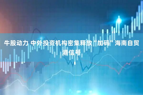 牛股动力 中外投资机构密集释放“加码”海南自贸港信号